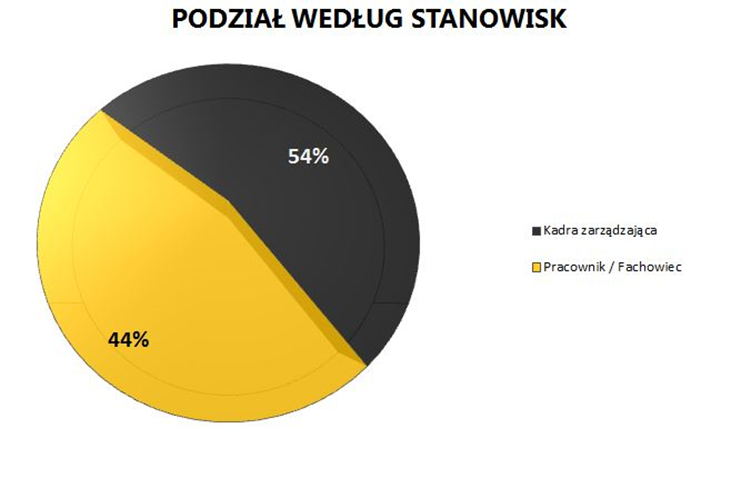 Podział według stanowisk